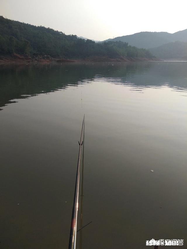 有些有钱的人为何越来越喜欢钓鱼