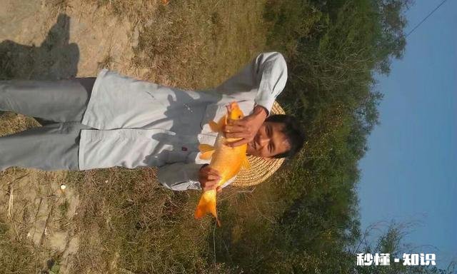 有些有钱的人为何越来越喜欢钓鱼