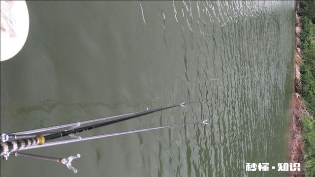 有些有钱的人为何越来越喜欢钓鱼