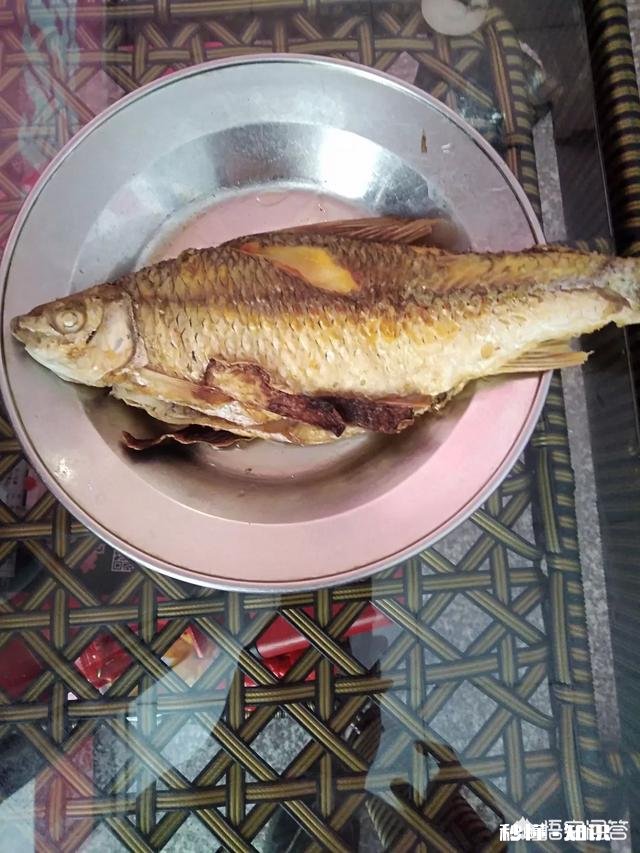 有些有钱的人为何越来越喜欢钓鱼