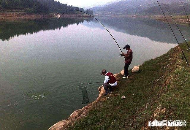 有些有钱的人为何越来越喜欢钓鱼