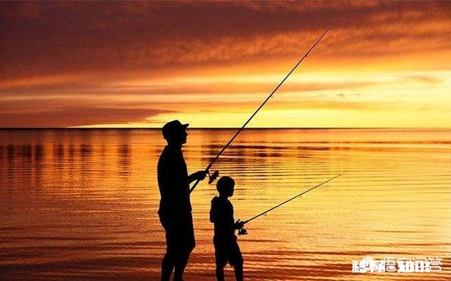 有些有钱的人为何越来越喜欢钓鱼
