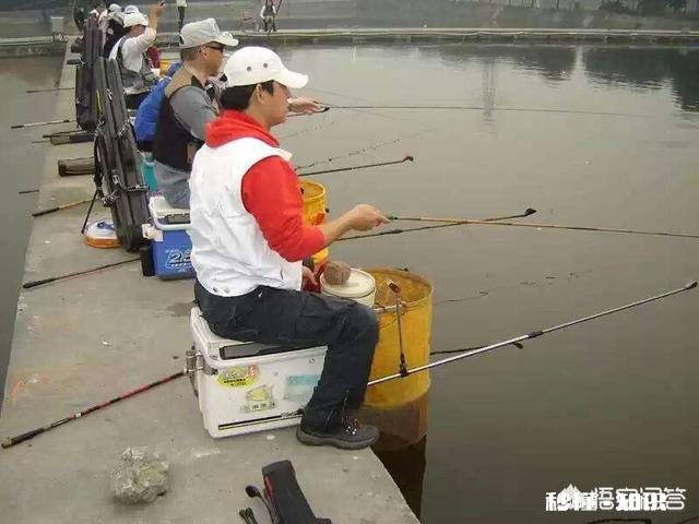 有些有钱的人为何越来越喜欢钓鱼