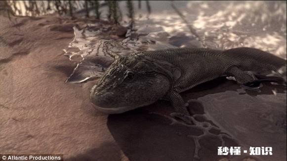 最早从水中登陆的动物是什么