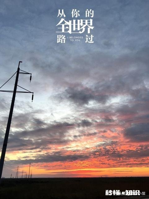 异地恋应该在手机上分手吗