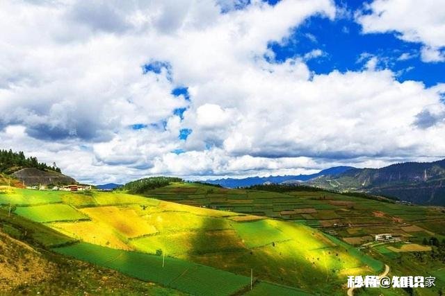 惰性太强,缺乏执行力怎么办