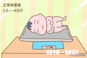 足月出生4.8斤正常吗