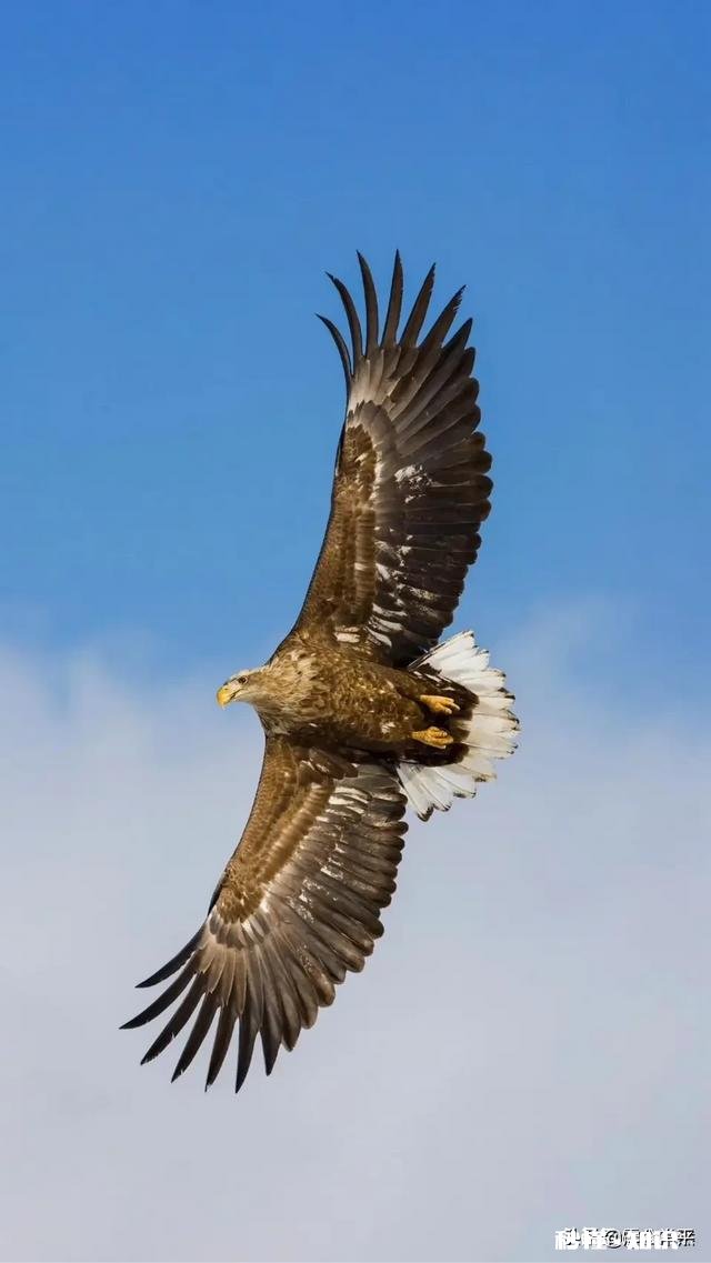 地震发生前，常会出现哪些异常现象