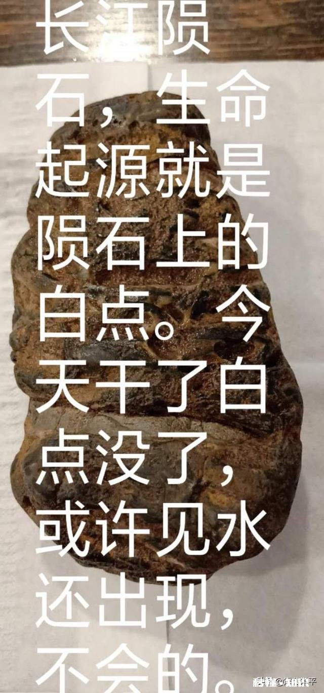 地震发生前，常会出现哪些异常现象