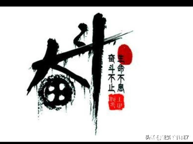 弟弟理所当然的认为姐姐就该一次又一次的借钱给他吗