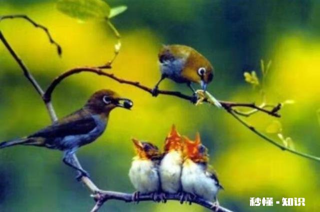 弟弟理所当然的认为姐姐就该一次又一次的借钱给他吗