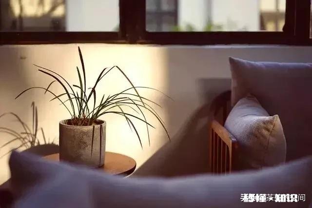 人和人最忌讳的就是相互猜疑,直接问出来最好!你认同吗