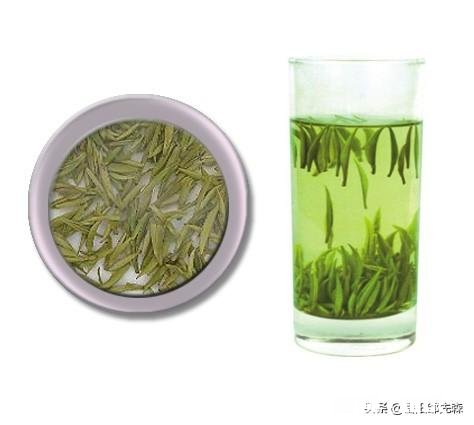 想问下你们家乡最好喝的茶是什么茶我的家乡是龙井,但我最喜欢九曲红梅