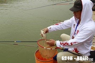 钓鱼跟抽烟喝酒都是不良嗜好吗钓鱼会误事吗钓鱼跟抽烟你会戒哪个