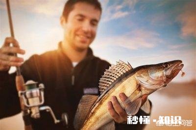 钓鱼跟抽烟喝酒都是不良嗜好吗钓鱼会误事吗钓鱼跟抽烟你会戒哪个