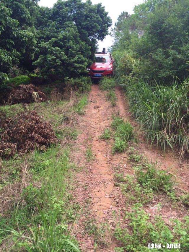 网约车互评合理吗