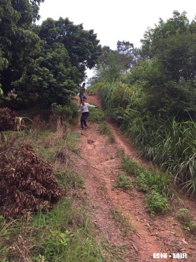 网约车互评合理吗