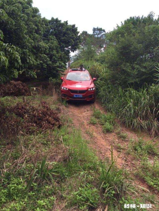 网约车互评合理吗