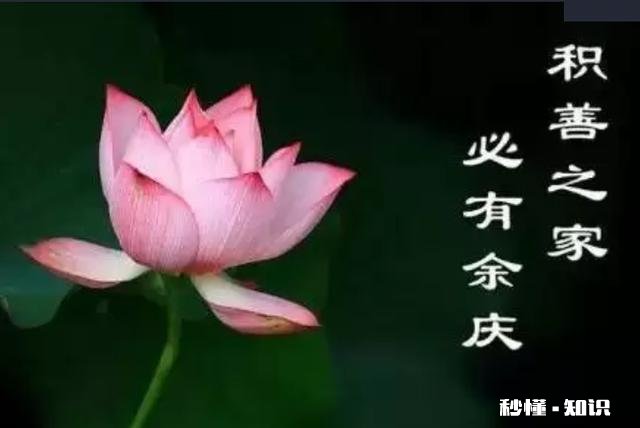 小孩子嘴太毒应该打吗怎么教育好