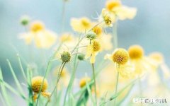 在疫情这段时间里，孩子在家里表现出哪些问题让家长最为头痛