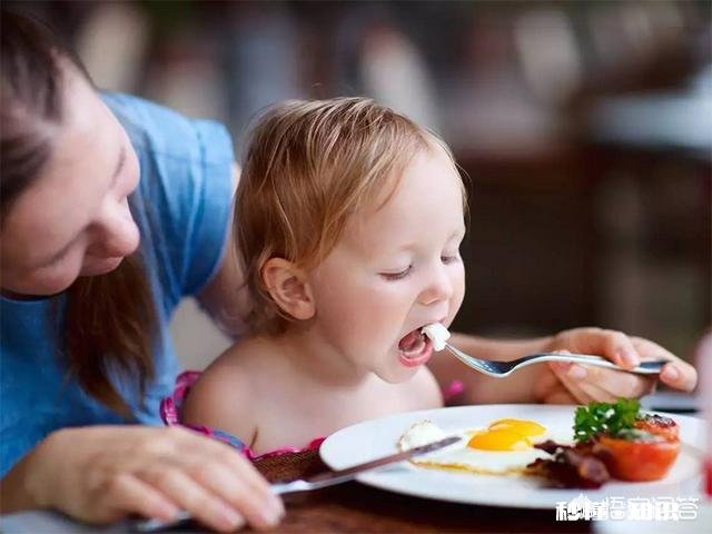 孩子不乖乖吃饭,就是不听话么