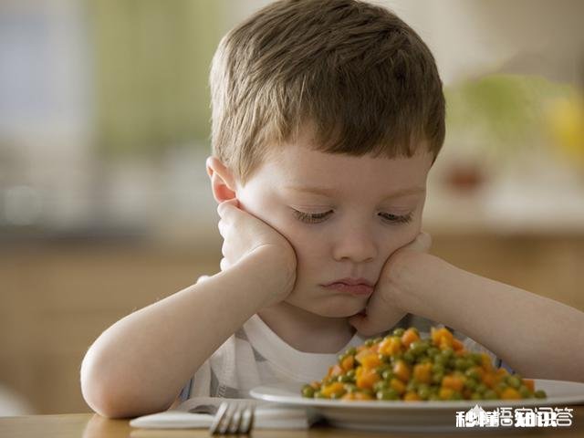 孩子不乖乖吃饭,就是不听话么