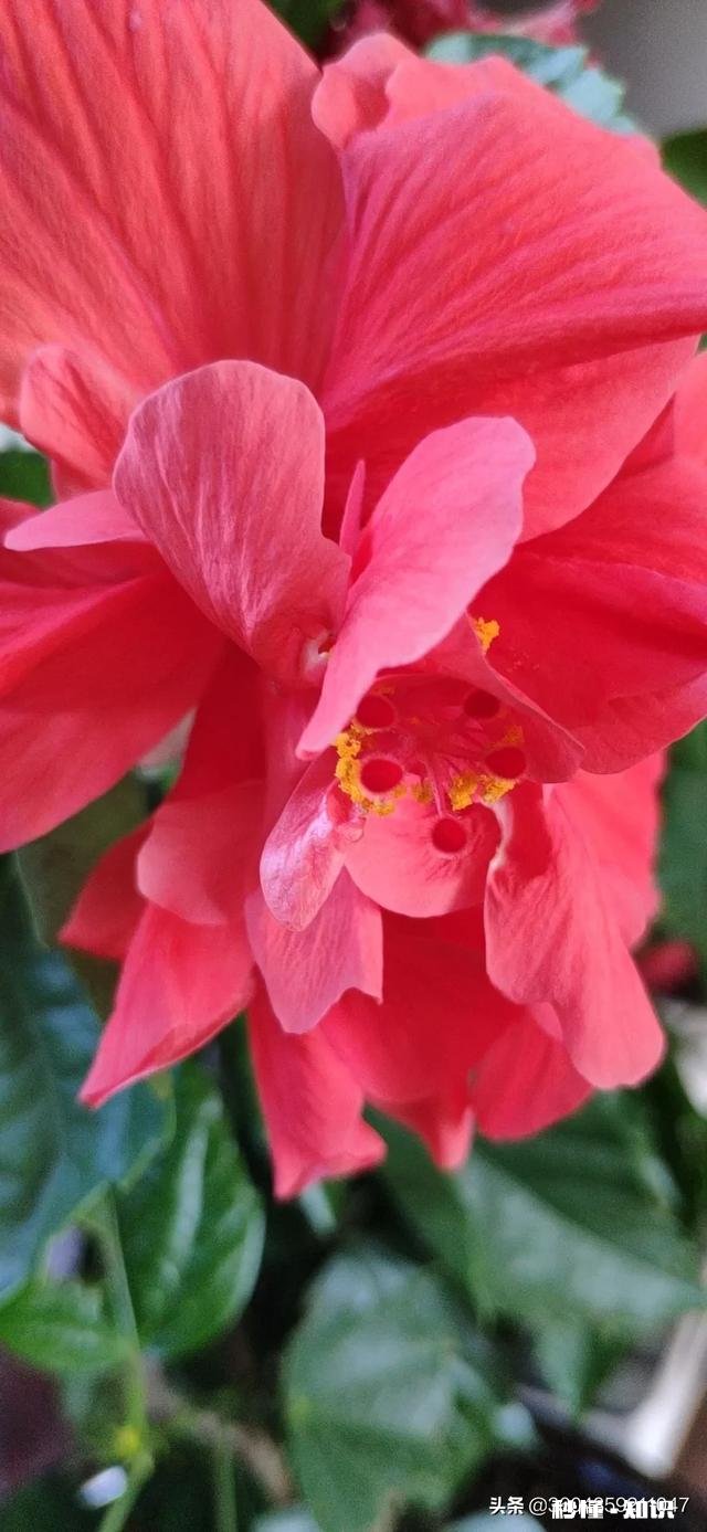 长期住在媳妇家,和岳父,岳母,在一起工作,你们会怎么做