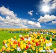 怎样才能让普通老百姓都能轻易做到保护我们的地球