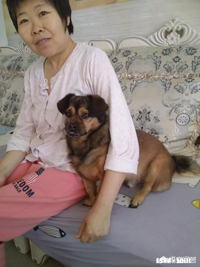 单身的人被家里追问为什么还没有另一半,该怎么办呢