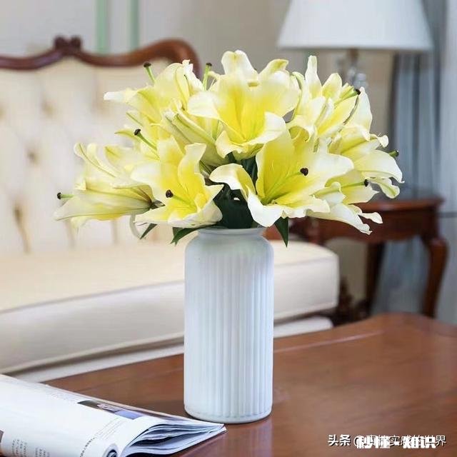 什么关系算是谈恋爱三段感情连手都没牵过算是恋爱吗