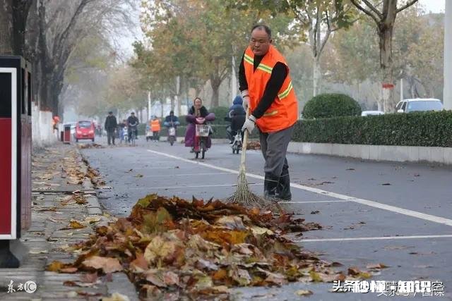 70后80后都到了打工没人要的危险年龄了。那回家干点什么才能不会为生计,养老发愁呢