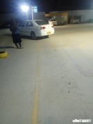 科二的s曲线该怎么走有技巧吗