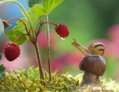 人们欲望的源头在哪里