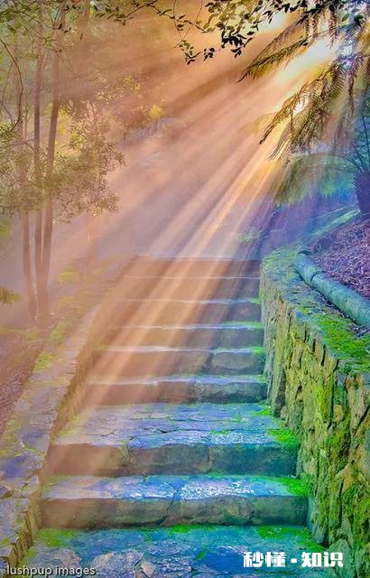 人们欲望的源头在哪里