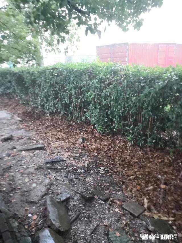 我是一名大专生,如何才能当演员