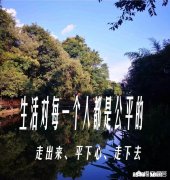 离异的女人该如何追求自己的爱情