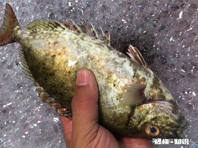 过年想买点年货回家,坐火车一天半,海鲜、海虾怎么保存运输呢