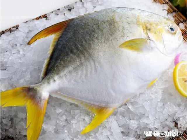 过年想买点年货回家,坐火车一天半,海鲜、海虾怎么保存运输呢