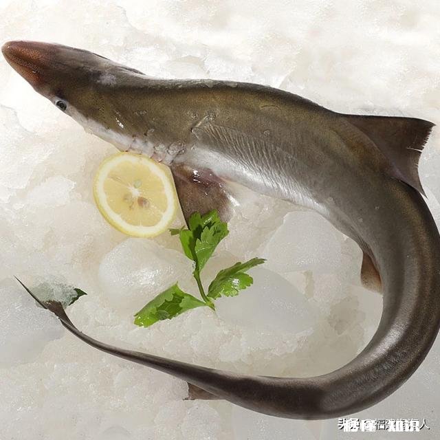 过年想买点年货回家,坐火车一天半,海鲜、海虾怎么保存运输呢