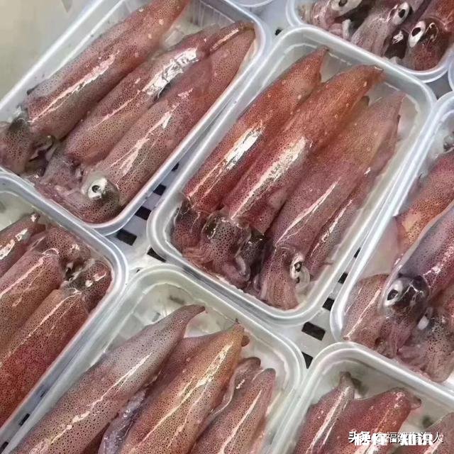 过年想买点年货回家,坐火车一天半,海鲜、海虾怎么保存运输呢