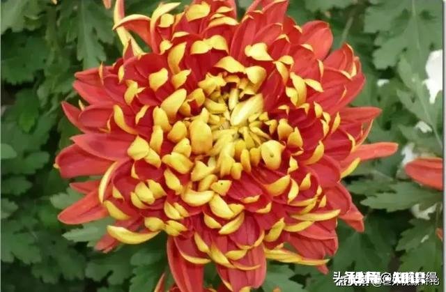 武侠小说和严肃文学之间,真的有一条明确界线吗你怎么看