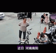 有人说救助流浪狗是善良的体现，应该全民捐款救助它们，支持吗