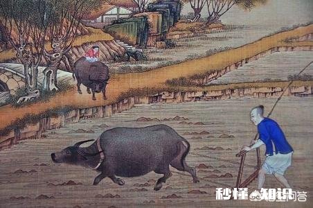 农村俗语“雨淋春牛头,七七四十九天愁”,为什么这么说