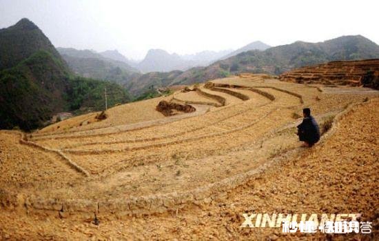 农村俗语“雨淋春牛头,七七四十九天愁”,为什么这么说