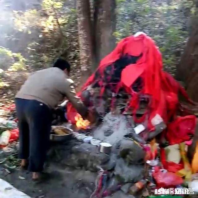 农村俗语“雨淋春牛头,七七四十九天愁”,为什么这么说