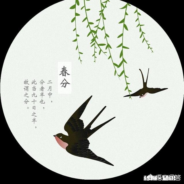 农村俗语“雨淋春牛头,七七四十九天愁”,为什么这么说