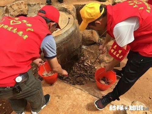 城市里这么多志愿者,他们平时干什么,有工资吗