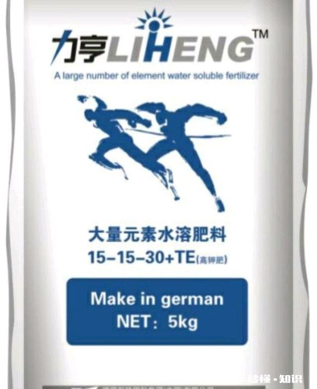 为什么我的巨峰葡萄是红粒该怎么办