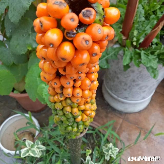 为什么我男朋友的朋友叫他出去玩我就会生气,哪怕是男的也会生气,叫我和他一起去也生气