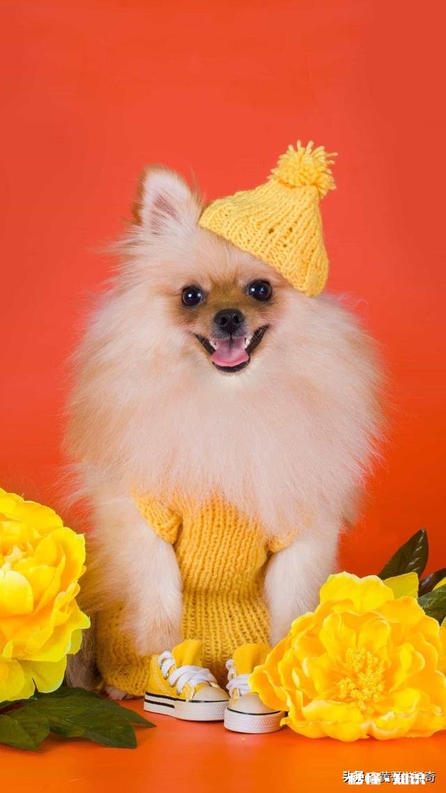 姐姐在10年前遇害,至今未找到凶手,该怎么办